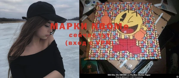 амф Новозыбков