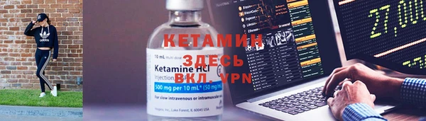 индика Горняк