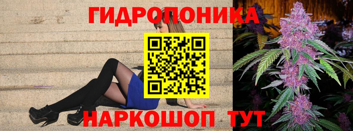 Марихуана AK-47  Бошки марихуана индика  Каннабис VHQ  Кулебаки  Каннабис планчик  Вход с VPN 